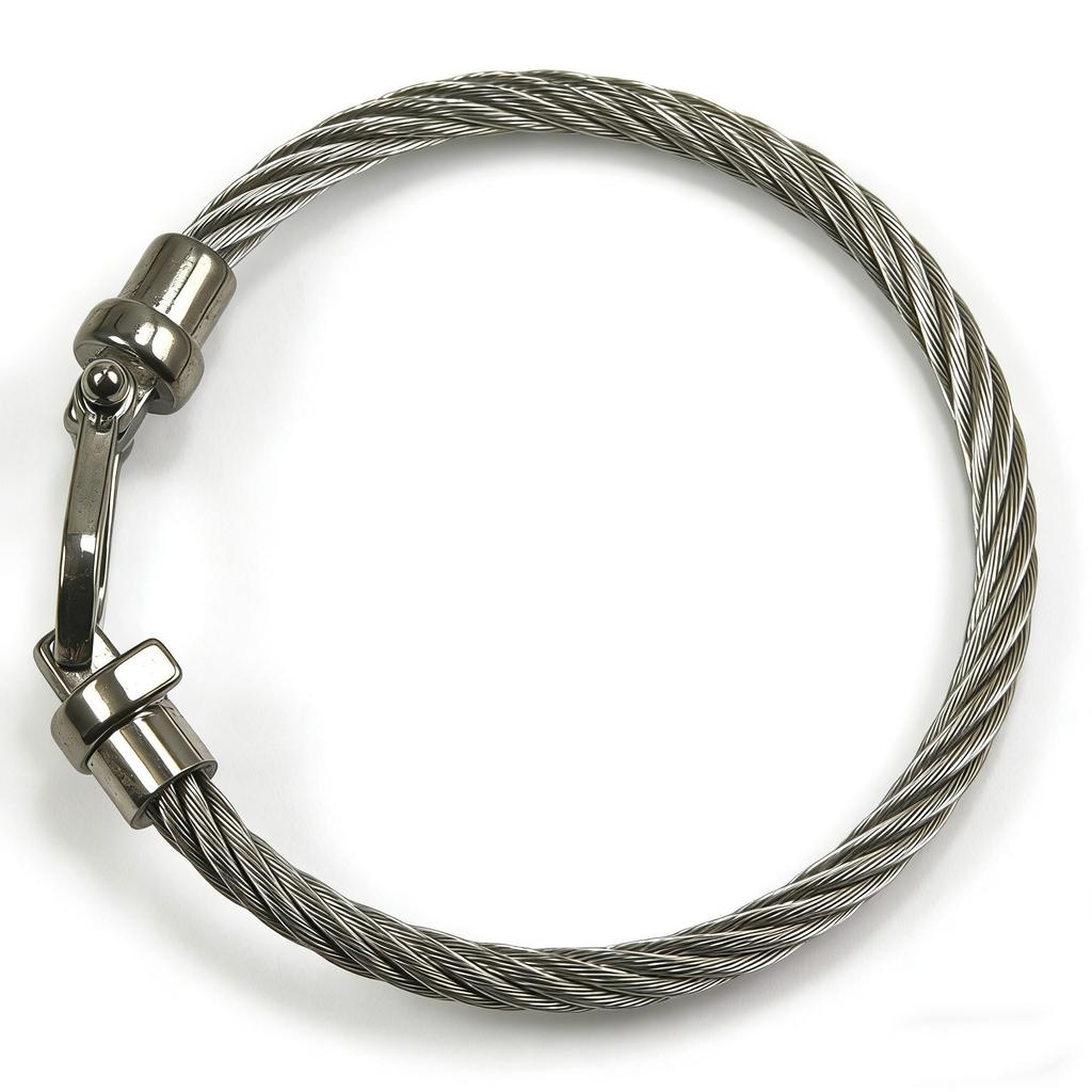 2026 Fashion Trend European and American Horseshoe Magnet Buckle Steel Wire Bracelet Jewelry