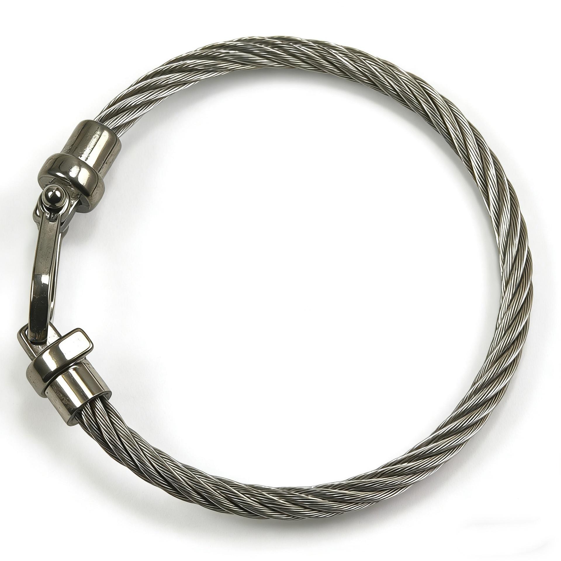 2026 European and American Horseshoe Magnet Buckle Steel Wire Bracelet Fashion Trend 17cm