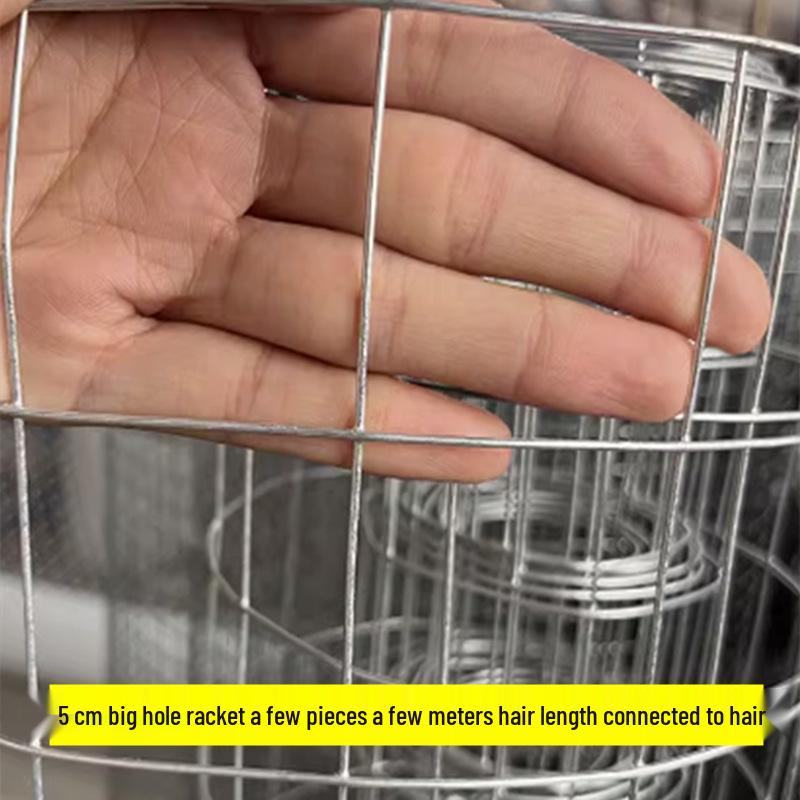 Galvanized Iron Window Mesh: Anti-Cat, Anti-Mouse, Anti-Bird Protection for Balconies