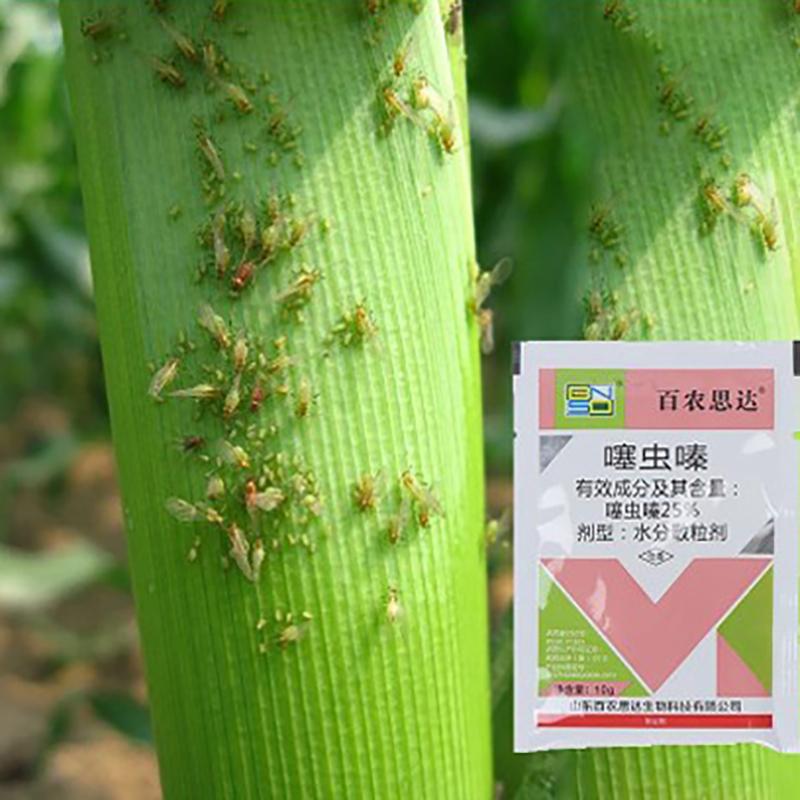 Thiamethoxam Insecticide Stinging Pest Aphid Pesticide Protection Garden Plant