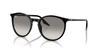 Sunglasses RB2204F BLACK 54 [Ray-Ban]