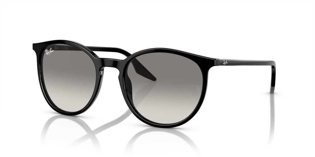 Sunglasses RB2204F BLACK 54 [Ray-Ban]