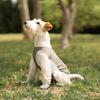 Summer Sleeveless Dog Shirt Lightweight Breathable Sun Protections Vest For Outdoor Activity Protective Dog Clothing