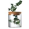 Desktop Borosilicate Glass Mini Ornament: Micro Landscape Hydroponic Plant Jar & Multifunctional Storage Bottle