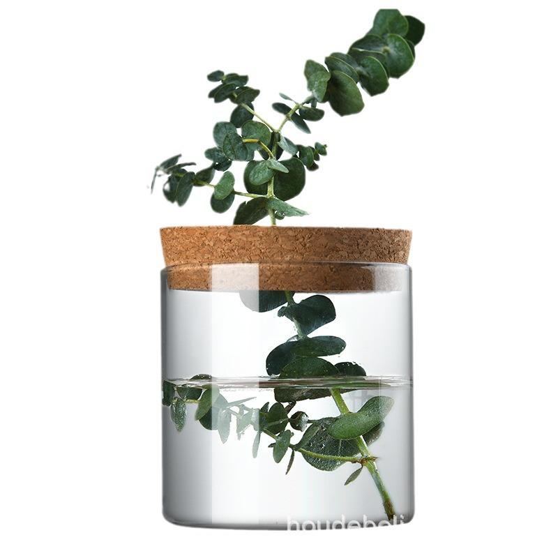 Desktop Borosilicate Glass Mini Ornament: Micro Landscape Hydroponic Plant Jar & Multifunctional Storage Bottle