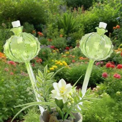 Plant Watering Bulbs Planter Insert Cactus Ball Shape Vacation Plant Watering Tools for Indoor Outdoor Potted Plants