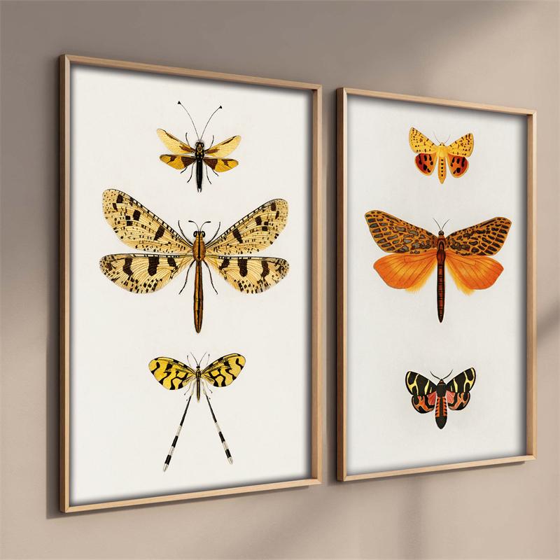 Pop bunte Tiere Fisch Poster ästhetische Fischarten Illustration Skizze Leinwanddruck für Wand Kunst Home Dekoration Raum Dekor