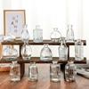 SEE KEAN Simple Transparent Striped Glass Vase
