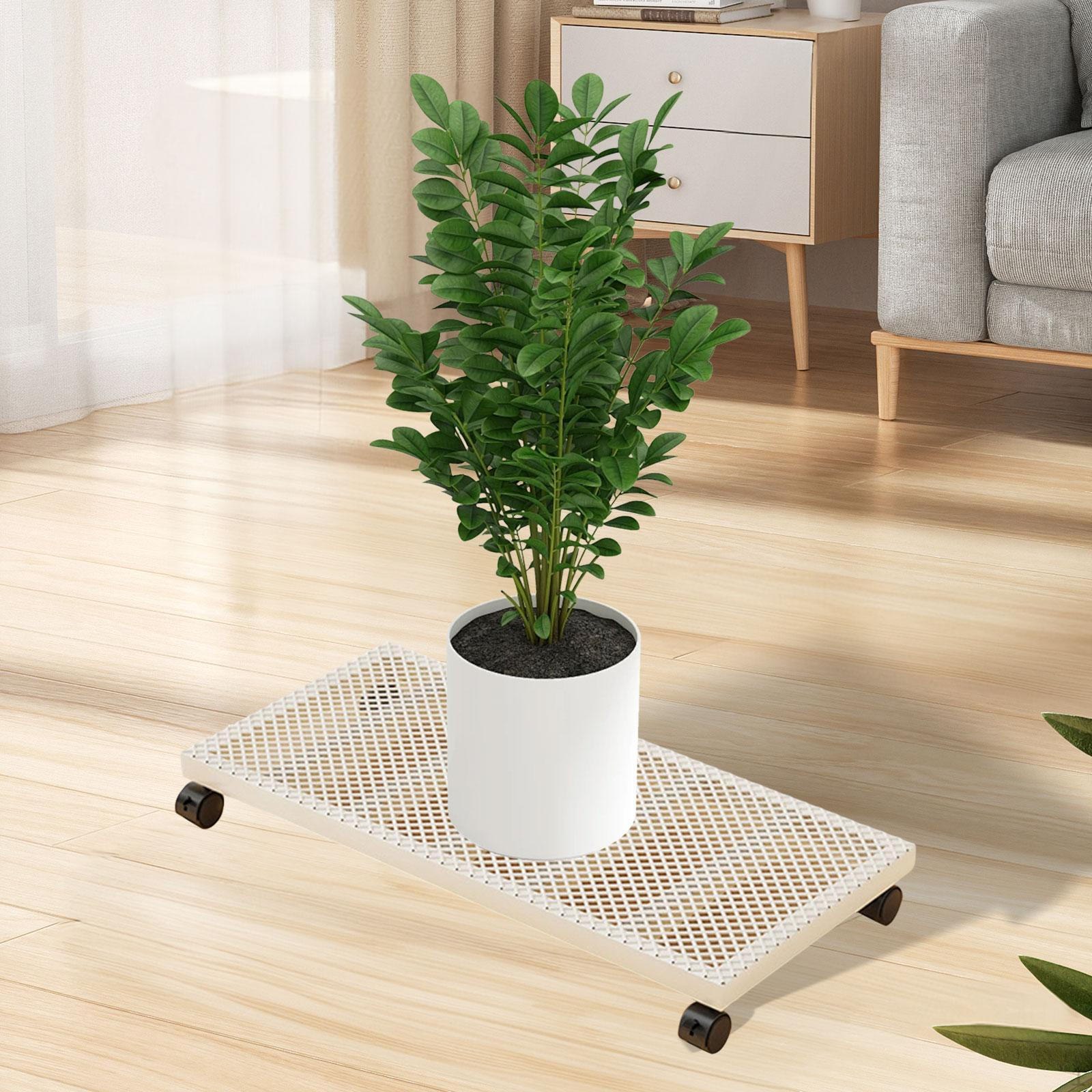 

Прочная подставка для растений на колесах с фиксаторами, подставка для растений на роликах для больших деревьев в горшках 60x30x6cm