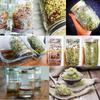 F26C Sprouting Jar with 304 Stainless Steel Screen Lid Wide Mouth Mason Sprouter Germinator for Organic Healthy for Fresh Mung