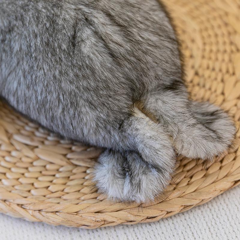 Cute Simulation Seal Doll Zoo Cute Seal Doll Children Plush Toy Aquarium Toy Gift