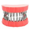 Denture Drill Bit Holder Denture Screwdriver Organizer 3D Sculpture Desk Decor 28 Holes Red With Bits
