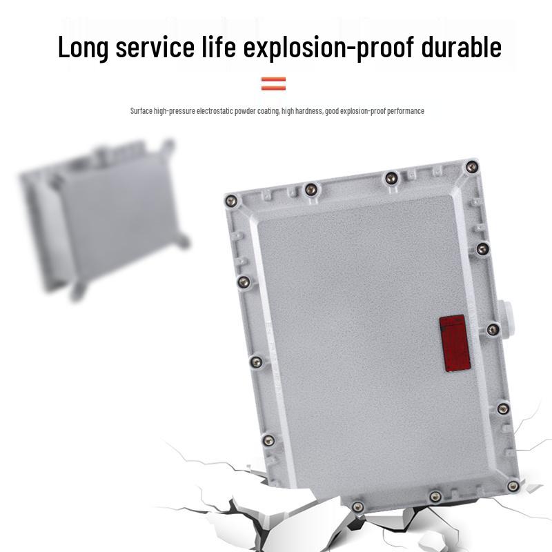 Explosion-Proof BXJ Flameproof Junction Box for Instrument Terminal and Power Supply Control