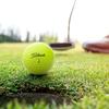 Titleist PRO V1 25 Yellow DZ