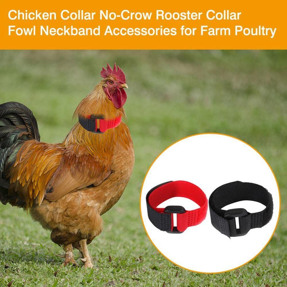 Supplies Poultry Neck Noise Free Neckband Collars Chicken Collar Anti-Hook No Crow Rooster Collar