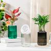 Self Watering Plant Pot Clear with Wick Ropes Plastic Flower Pot Water Reservoir Vertical Stripes Design