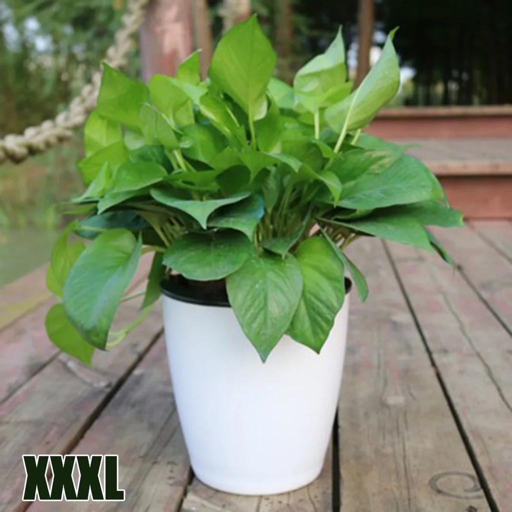 Lazy Flower Pot Self-Watering Plant Flower Pot Planter For Soilless Planting Flowers Tabletop Bonsai Decor Home Garden Supplies