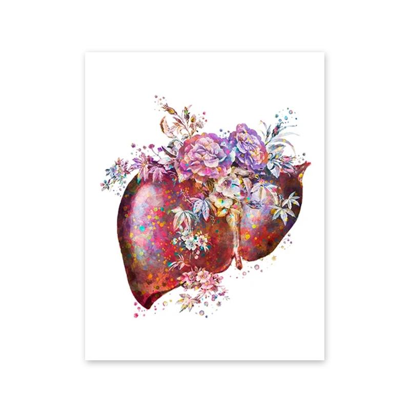 Bunte Anatomie Kunst Blume Organe Herz Lunge Poster und Drucke Medizinische Bildung Wand Kunst Leinwand Malerei Home Dekoration Geschenk