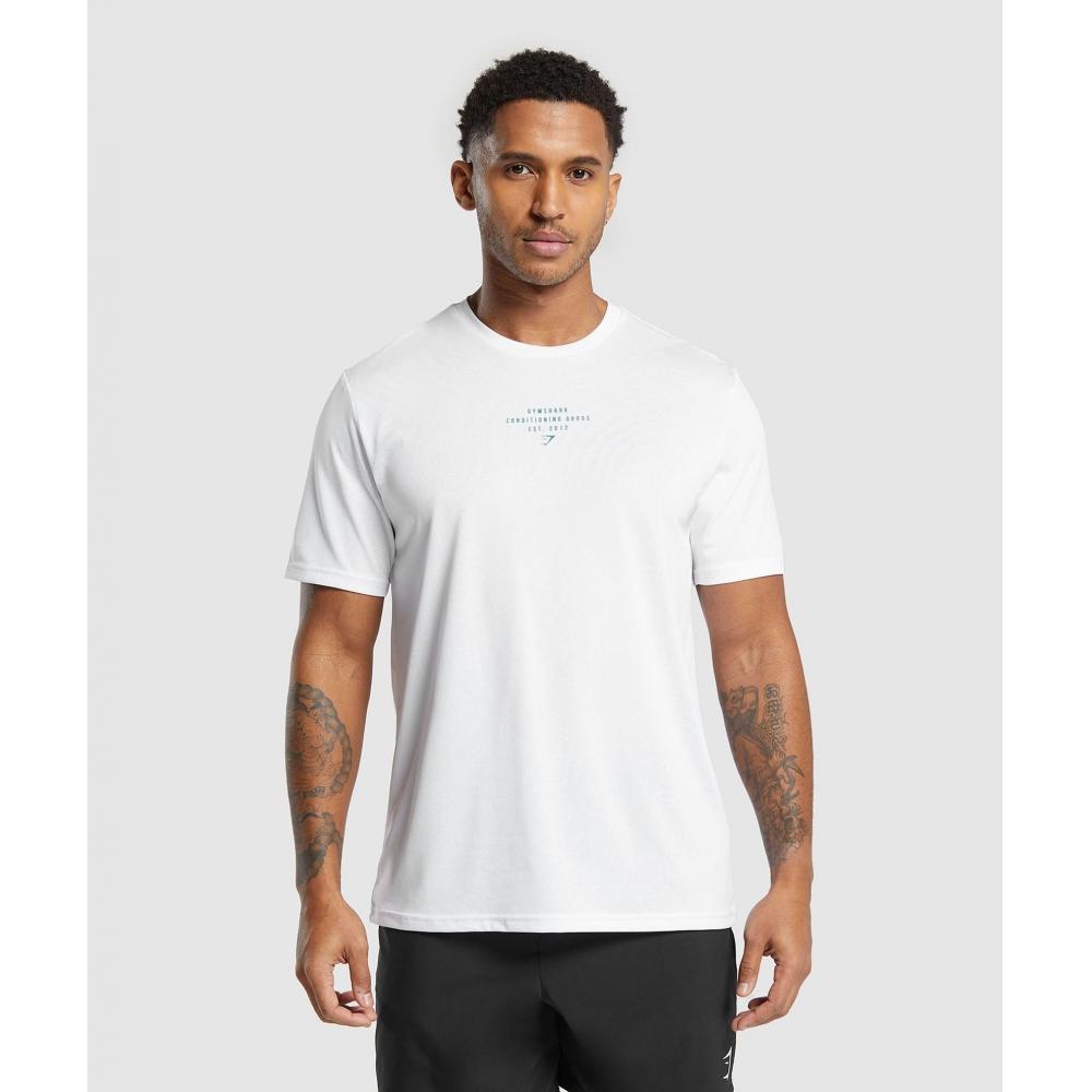 

Gymshark CondiTioning Goods футболка белая A5a5k Wb57 3XL