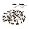 5Pcs Dry Fly Fishing Lure with Sharp Hook Floating Foam Ants Beetles Realistic Artificial Bait Saltwater Freshwater Fishing Accessories