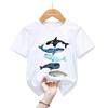 Kawaii Dolphin Whale Flowers Tshirt Watercolor Graphic Print Short Sleeve Unisex Unisex Casual Harajuku Tee