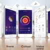 24-Key Dual-Mode WiFi RGB Music LED Controller with TUYA Smart Voice Feature