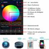 Spot Extérieur - INDARUN - Indarun - Compatible Alexa - 16 Millions De Couleurs - LED Intégrée