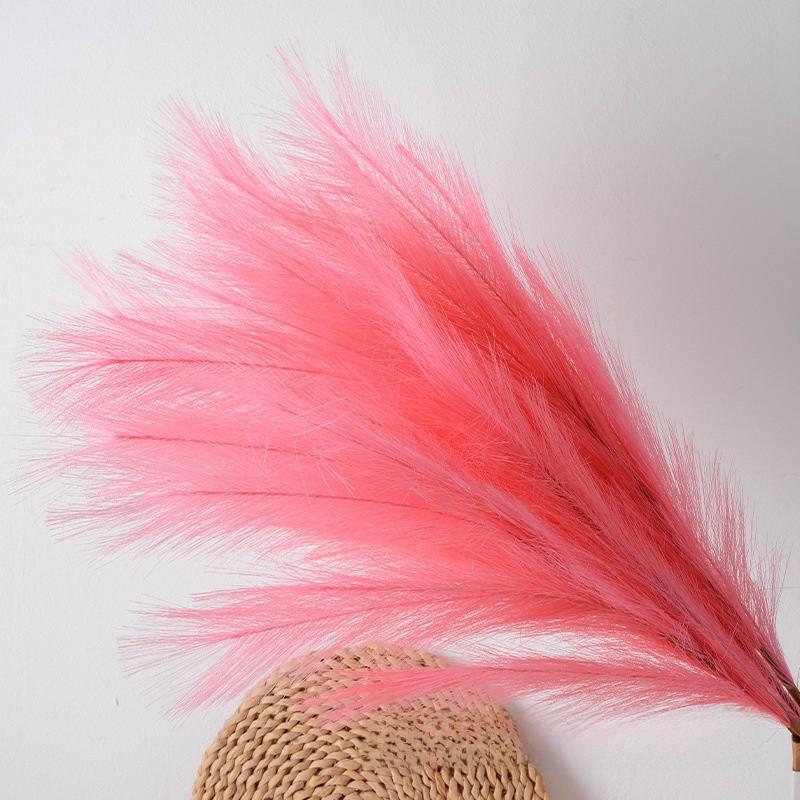 Phragmites Faux Australis Kolorowy Kwiat Piórowy Dekoracja Ścienna Do Projektu Imprezowego