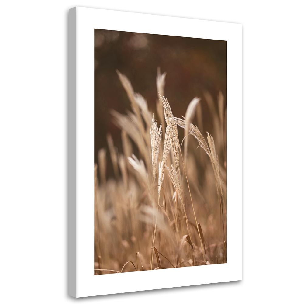 Canvas Print, Dry Grass On a Meadow