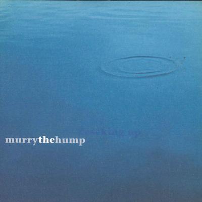 7inch Record MURRY THE HUMP - Cracking Up / No Girl No Sex PURE114S TOOPURE 2001 UK Rock Used