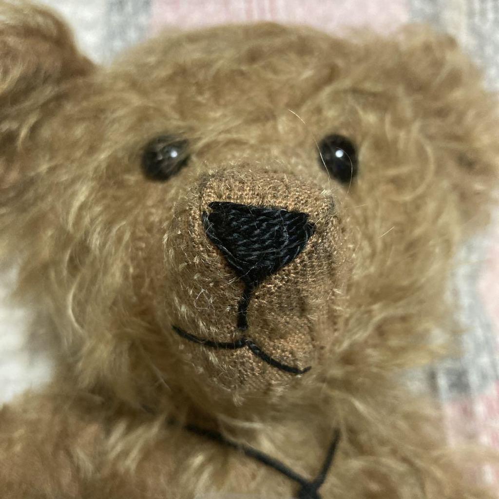[USED] Used H.M.Bears teddy bear
