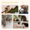 Cat Cave Cat Bed with Washable Cushion, Platform, Scratching Post, Play Ball, Cat House for Cats for Indoor 35 x 35 x 81 cm Oak