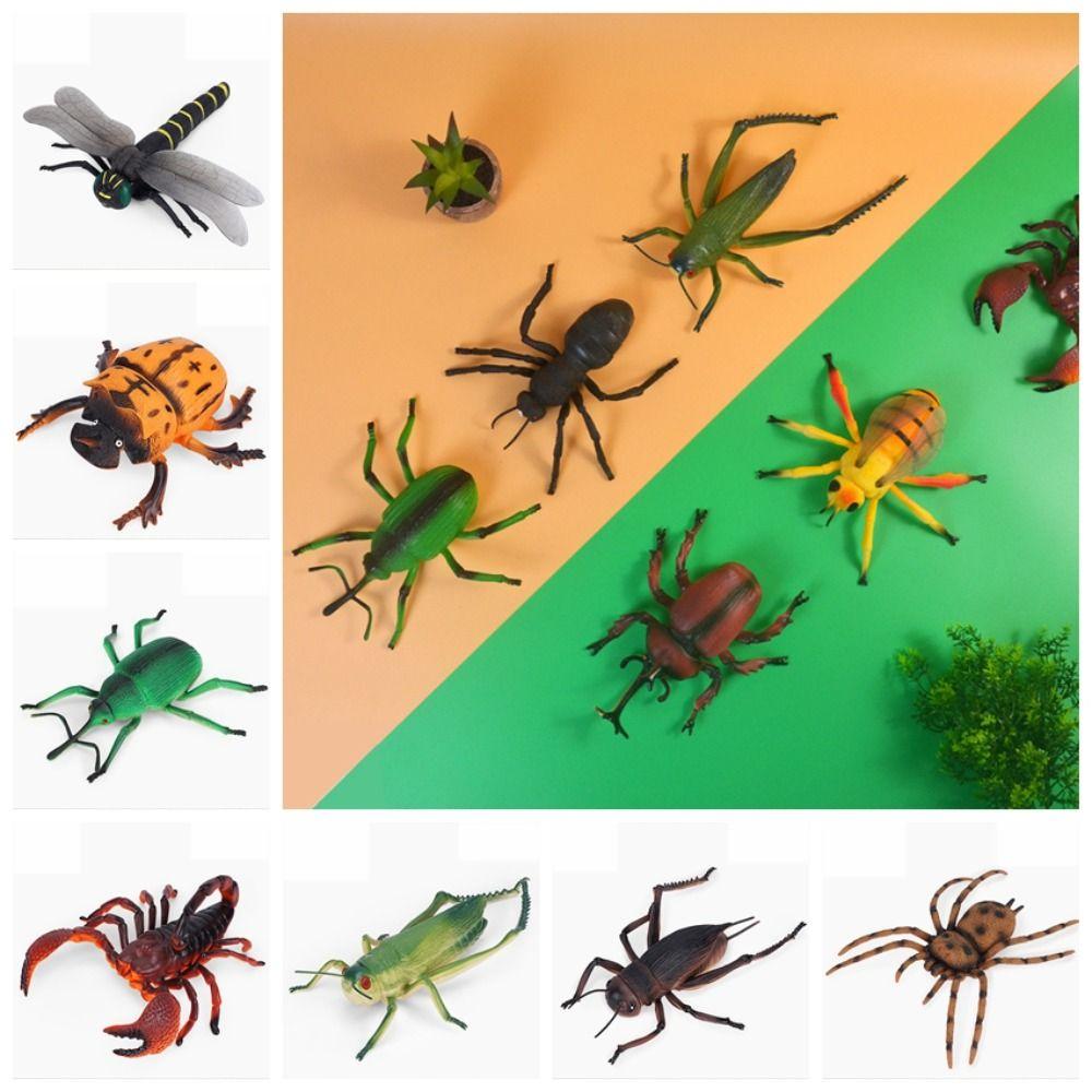 Cricket Simulated Insect Model Spiders Simulation Wildlife Model Science Toy   Children Gifts