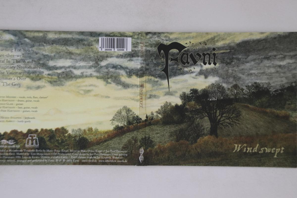 

CD FAVNI - Windswept 029 SILBERBLICK-MUS 2016 Germany Rock Used