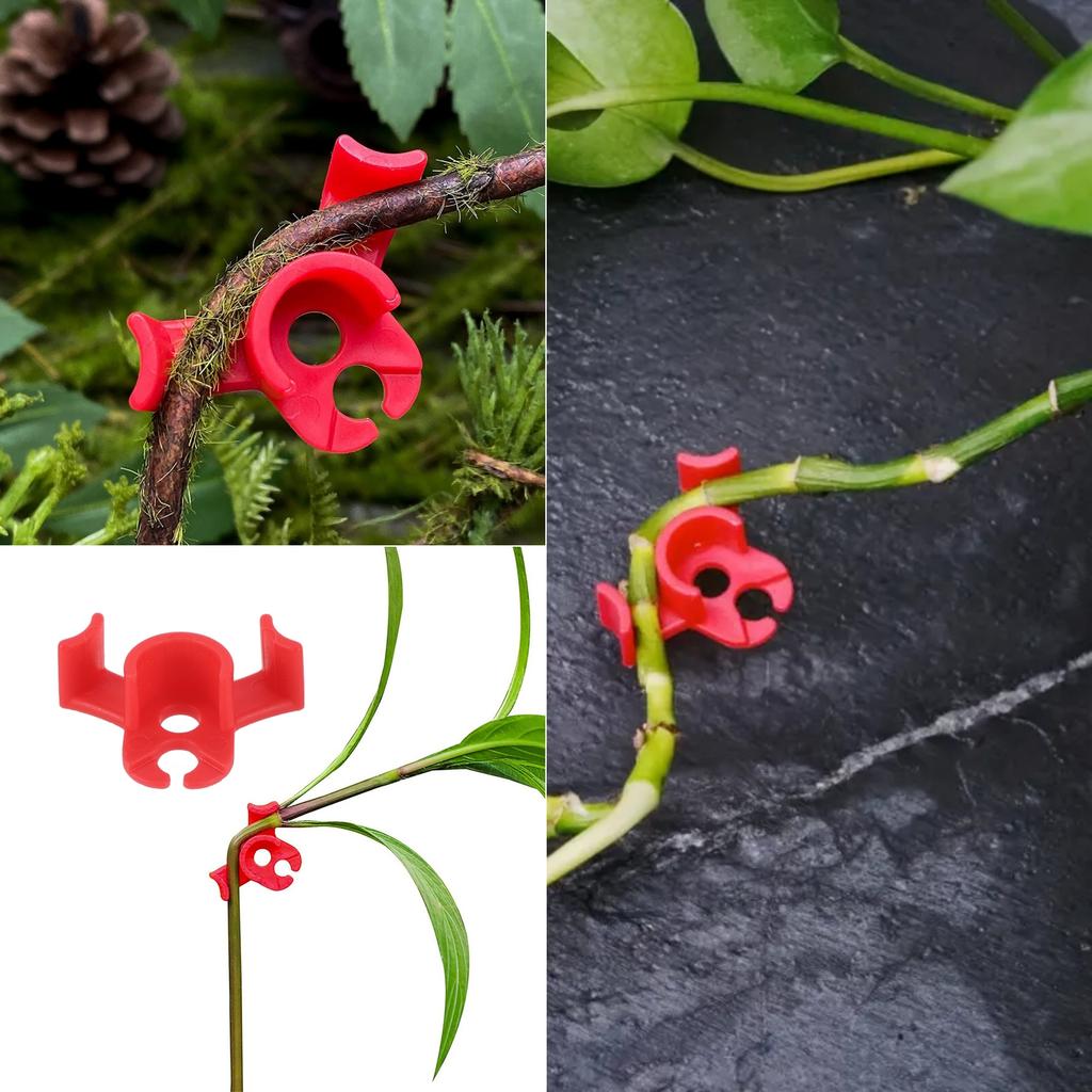 Plant Stem Training Bending Clamps Garden Greenhouse Flower Vegetable Plant Vine Clips for Low Stress Plant Growth 10/20/50Pcs