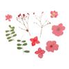 Filling Materials Jewelry Making Dried Flowers Beauty Decal Resin Filler Resin Mold Filling Flower