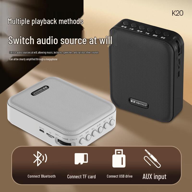 NINTAUS Portable Voice Amplifier with Bluetooth Microphone CN Plug (adapter Included)