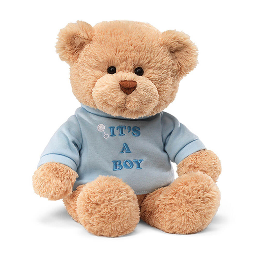 Gund Message Bear (It's A Boy)