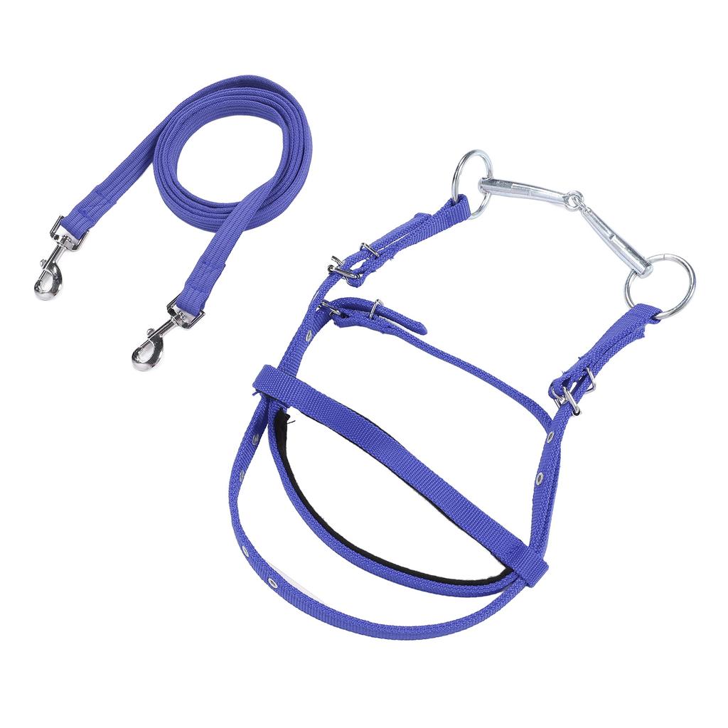 Horse Bridle Rein Nylon Stylish Adjustable Horse Bridle Headstall Equestrian Rein Blue L( For Horses with Shoulder