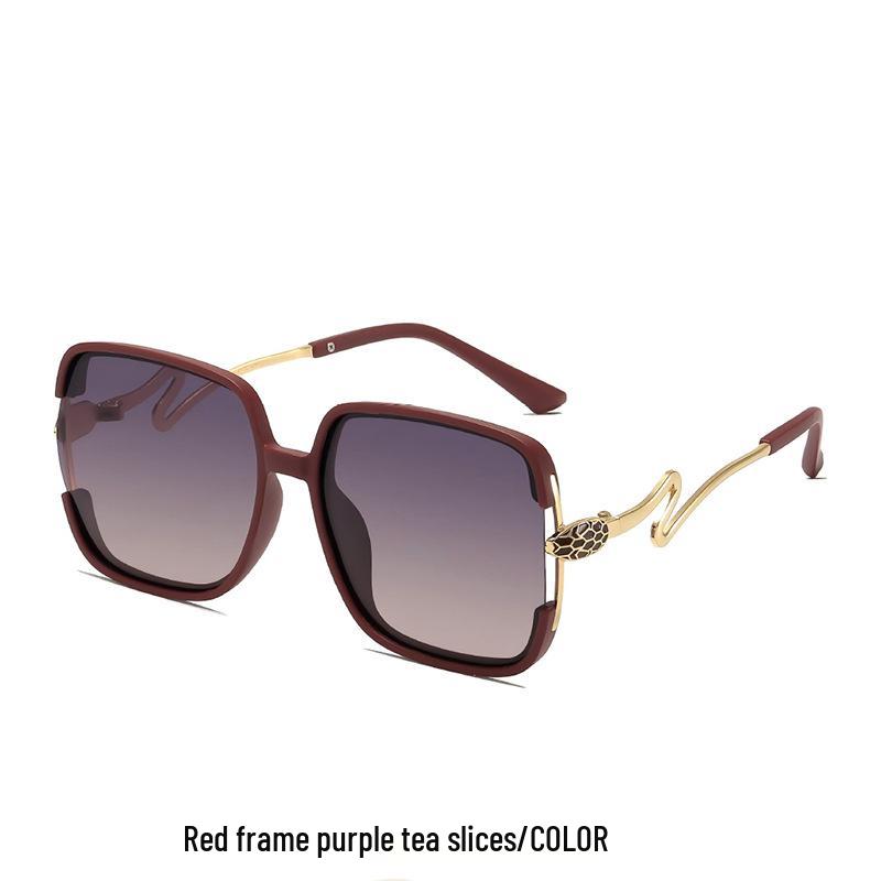 Women's Retro Polarized Sunglasses with Large Square Frame and Unique Snake-Shaped Temples - Simple and Fashionable.