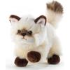 Peluche Thaytoo Chat - PLUSH & COMPANY - 21 Cm - Pour Bébé