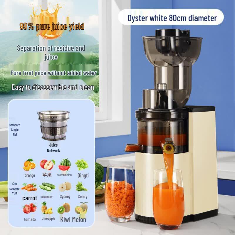 OLOEY Rechargeable Multi-purpose Juicer