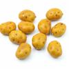 Wedding Decoration Realistic Lifelike Photography Prop Cognitive Toy Vegetable Model Potato Model