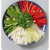 Multi-functional Green Onion & Chili Shredder