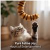 Katzenspielangel mit langem Schwanz, Interaktives Kätzchenspielzeug für drinnen & gegen Langeweile