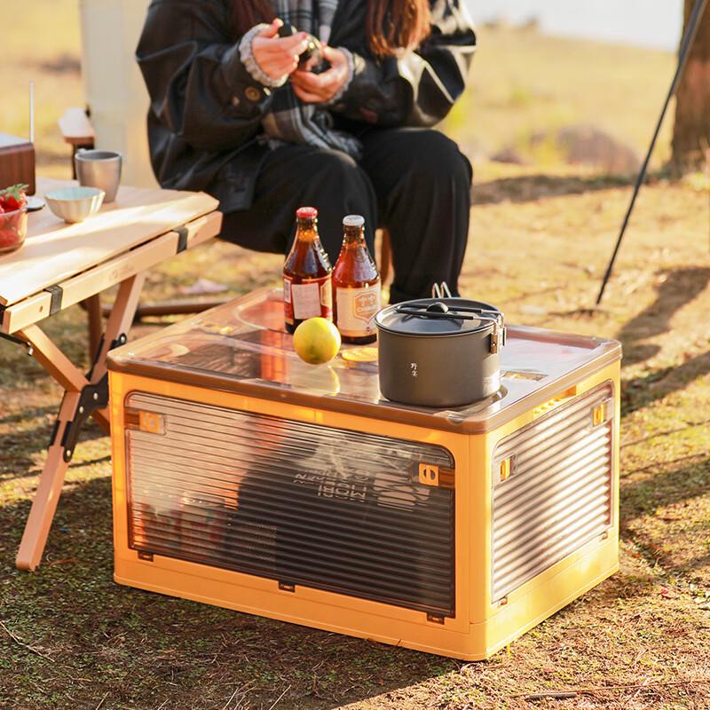 Transparent Folding Storage Box
