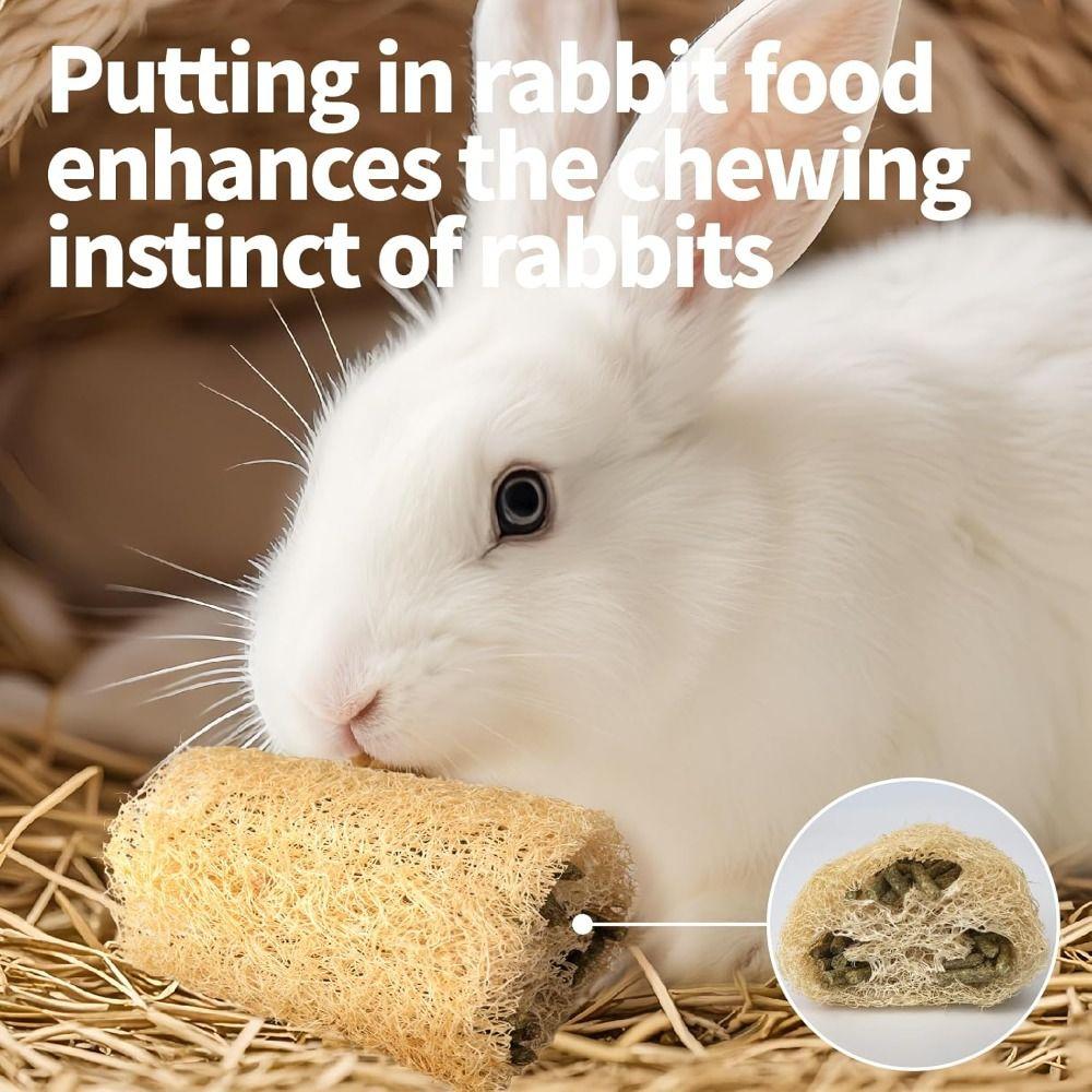 NEW Teeth Cleaning Loofah Toys Fiber-Rich Handmade Rabbit Chew Toys Natural Chewable Texture Hamster Chews Dental Care