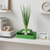 3D Printed Hydroponic Chive Planter, Soil-Free Automatic Water Growing Box for Home Repeated Harvest