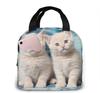 Insulated Lunch Bag Thermal Funny Cartoon Cats Tote Bags Cooler Picnic Food Lunch Box Bag For Kids Women Girls Men Children