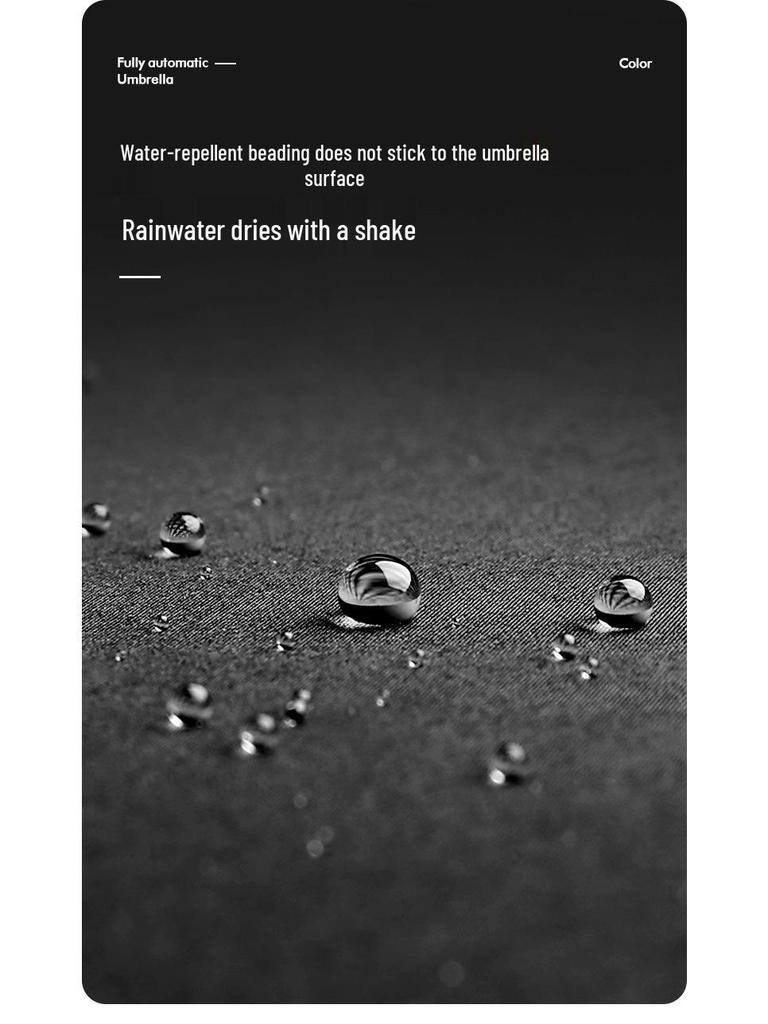 Dual-Use Extra-Large Folding Umbrella: Anti-UV, Rain or Shine, For Two